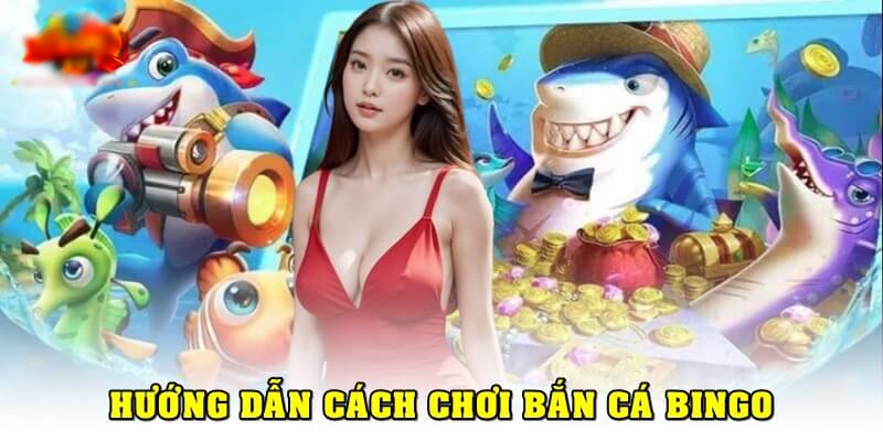 Hướng dẫn tải app chơi ban ca bingo