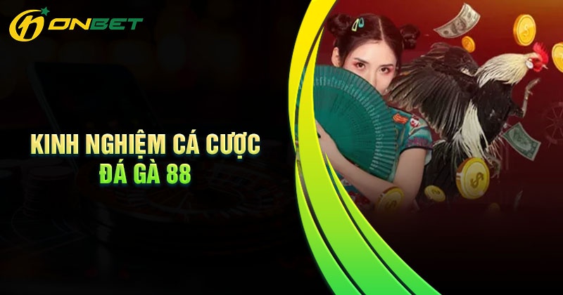 Kinh nghiệm giá trị khi cá cược đá gà 88 tại Onbet