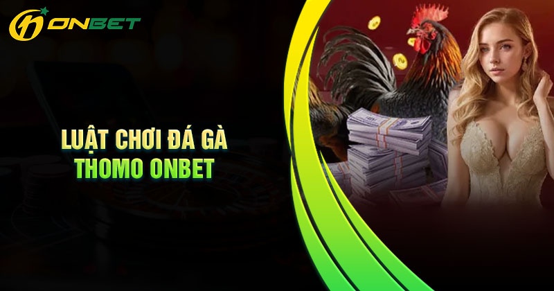 Luật chơi đá gà Thomo Onbet dễ hiểu