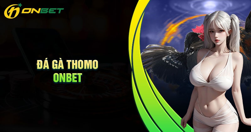 Tổng quan đá gà Thomo