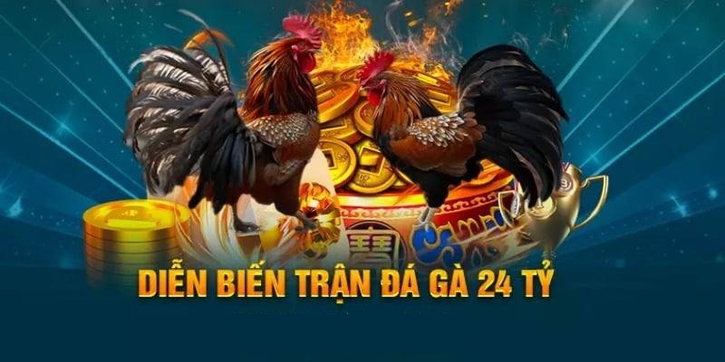 Thông tin về trận đá gà 24 tỷ đi vào lịch sử