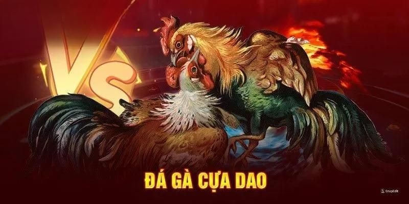 Sơ lược về hình thức xem đá gà cựa dao online